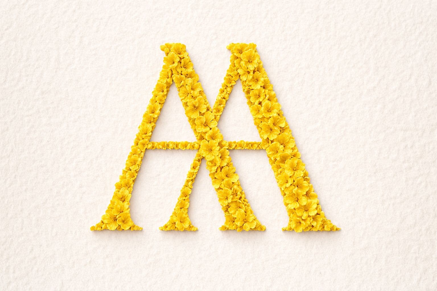 A Apaixonadinha Hoje eu me escolho